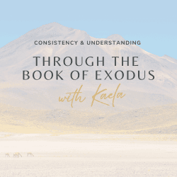 Workbook - Exodus